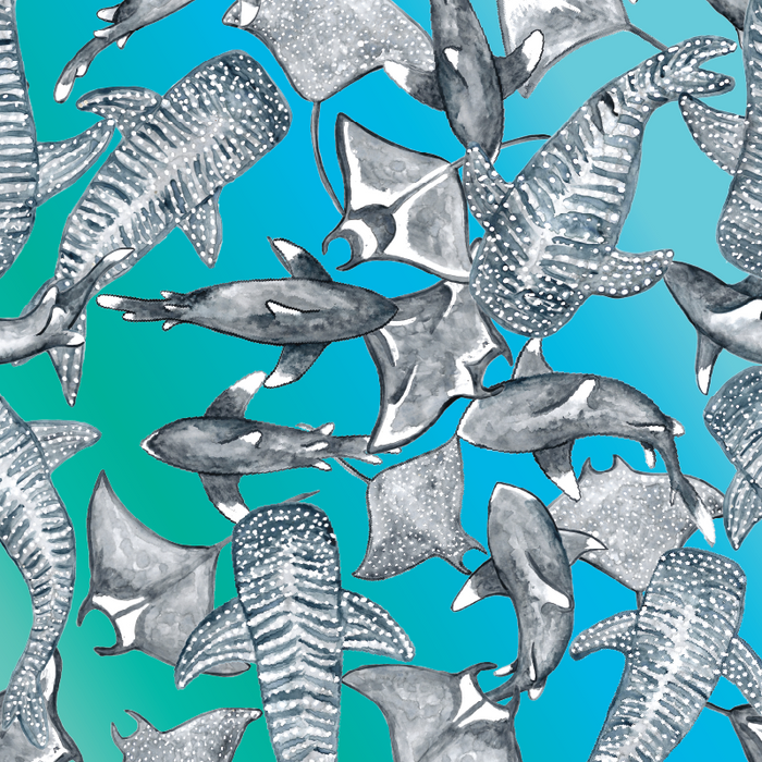 SHARK WEEK