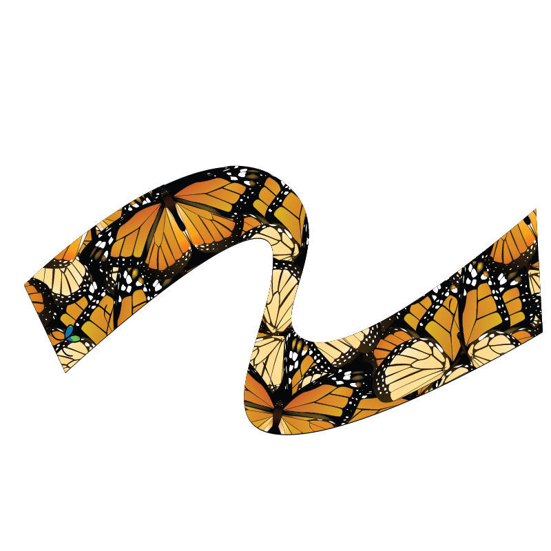 Monarch Butterfly scarf