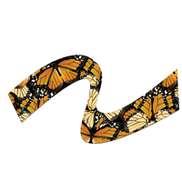 Monarch Butterfly scarf