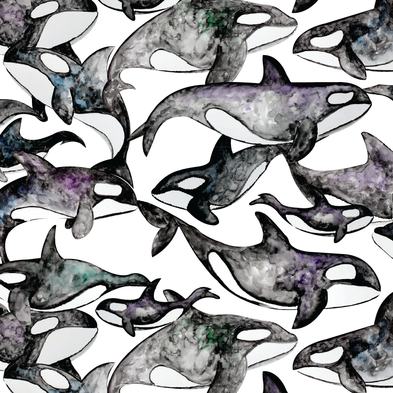 LIMITED EDITION- Orcas Kids long sleeve hooded shirt