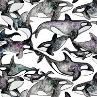 LIMITED EDITION- Orcas Kids long sleeve hooded shirt